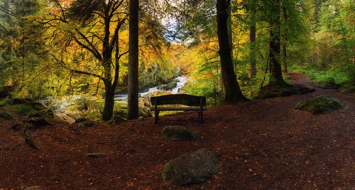 Autumn forest with a river and a bench in Dunkeld, Scotland