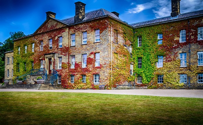 Erddig Hall covered in ivy under a blue sky