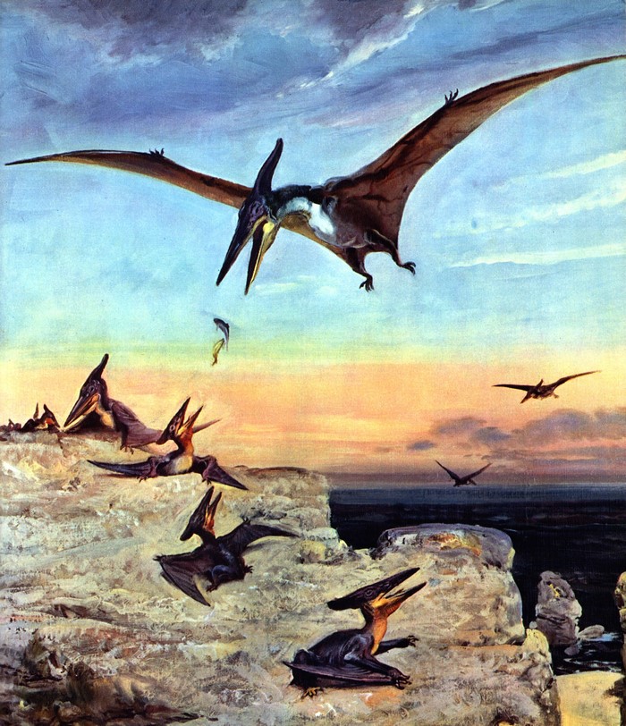 Pteranodons hunting fish near a rocky coast at sunset