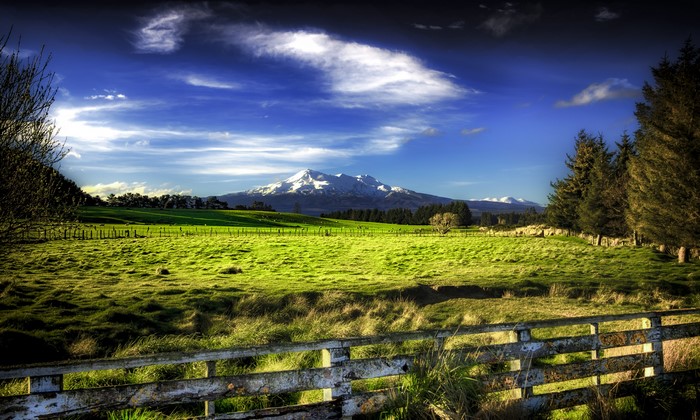 Snow-capped mountain range over green fields and trees