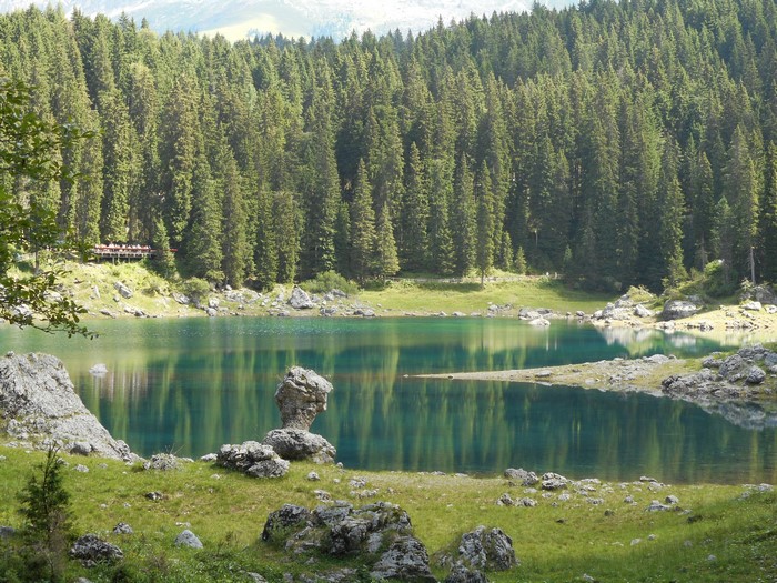 Lake Carezza with Forest and Mountains in Italy