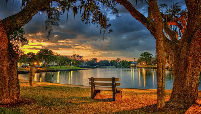 Bench by a pond at sunset in Tarpon Springs, Florida