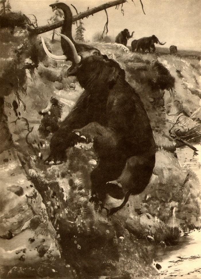 Mammoth on a rocky slope with other mammoths in the background
