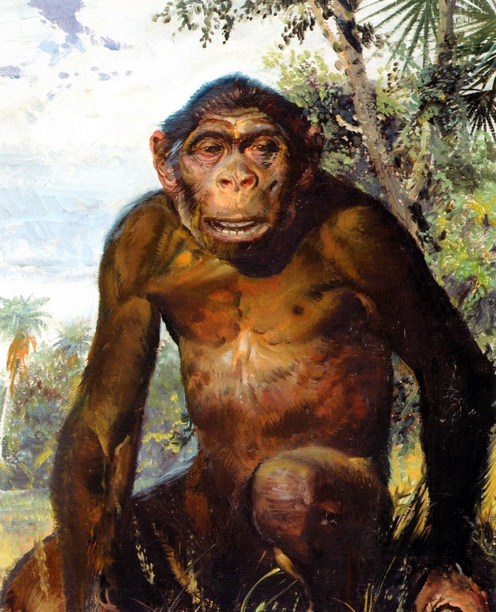 Homo erectus by Zdenek Burian