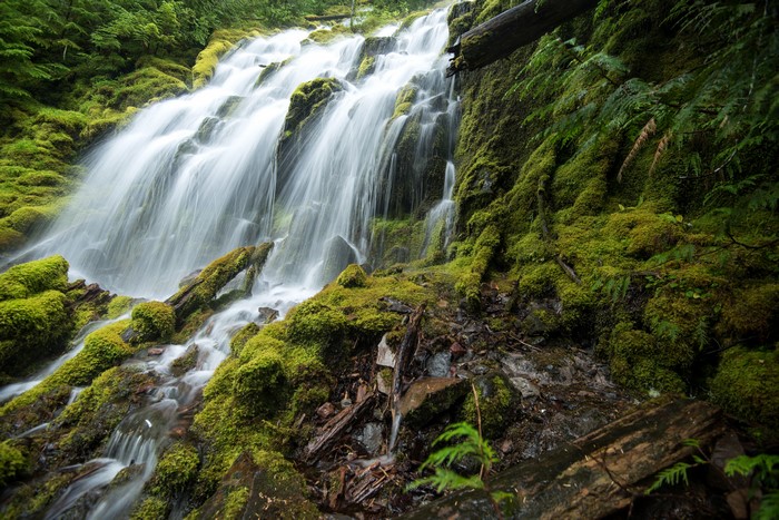 Upper Proxy Falls Oregon USA Waterfall