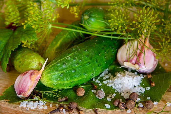 Cucumbers, Garlic, Dill, and Spices for Pickling