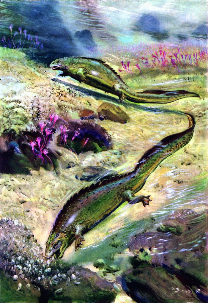 Placodus gigas underwater scene by Zdenek Burian