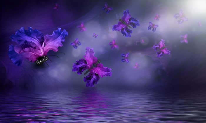 Butterflies made of Irises flying over water