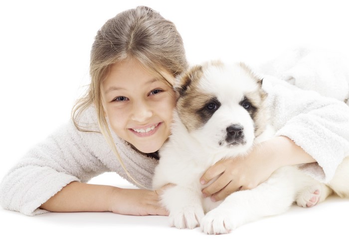 Girl hugging a Caucasian Shepherd puppy