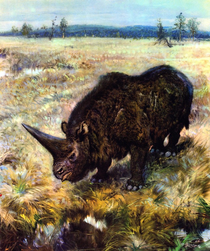 Elasmotherium sibiricum by Zdenek Burian