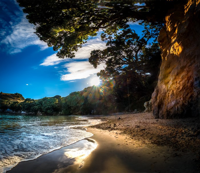 Beach with trees and cliffs in Tasman, New Zealand