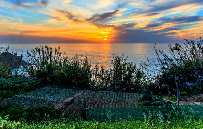 Sunset over the ocean with fields and vegetation