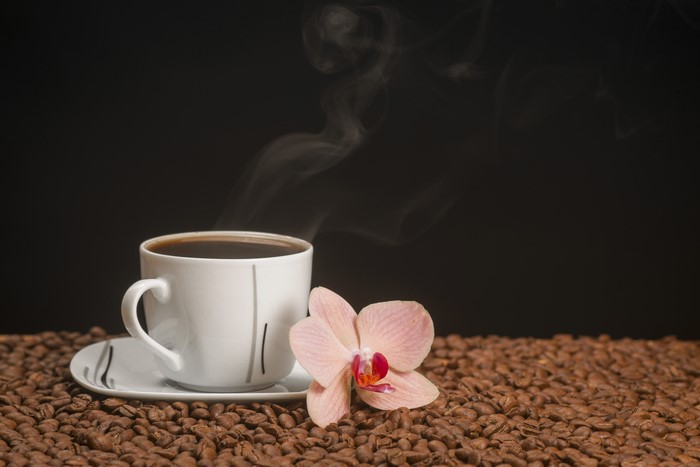 Coffee cup with orchid on coffee beans