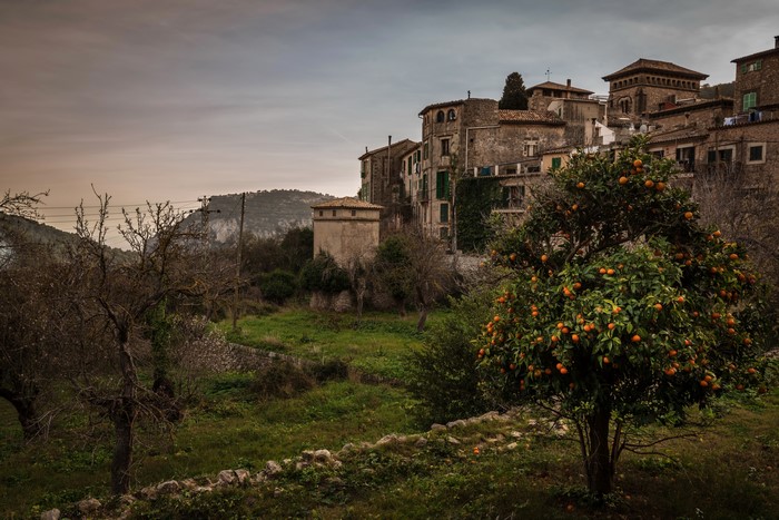 Valldemossa, Mallorca, Spain - Houses and Orange Tree