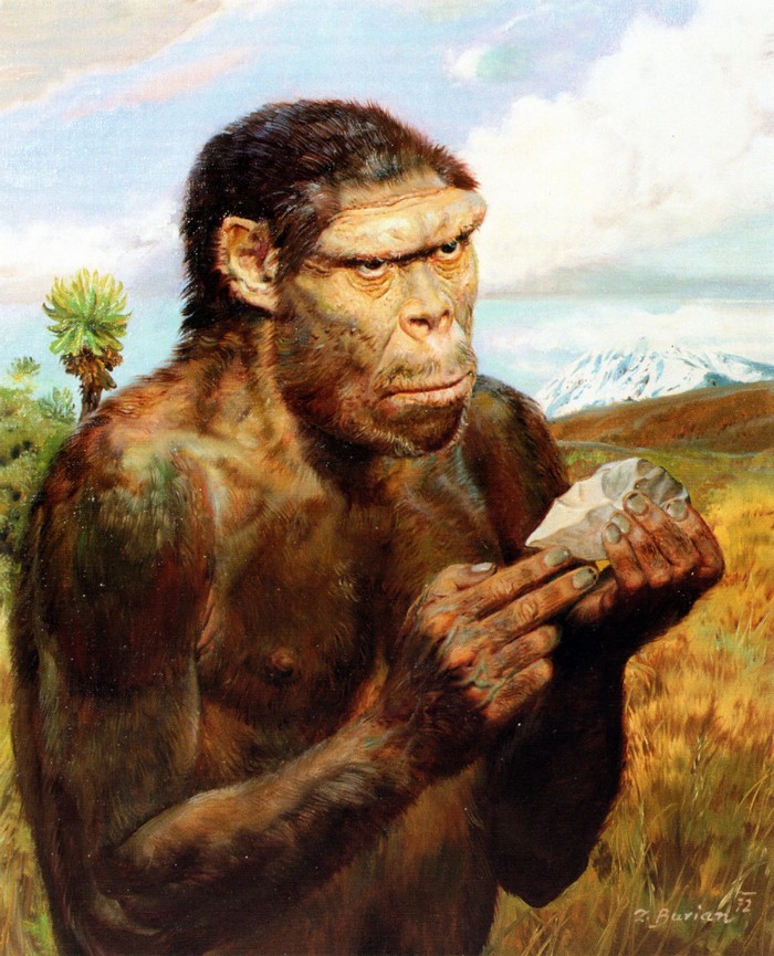 Homo erectus holding a stone tool by Zdenek Burian