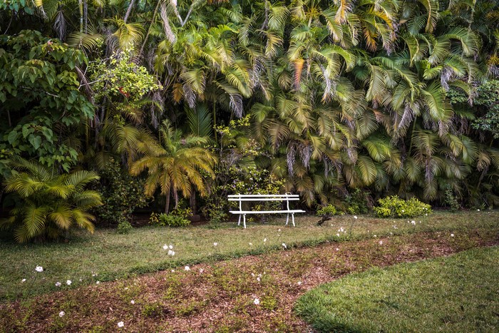 Palm garden Maison Eureka Mauritius with bench