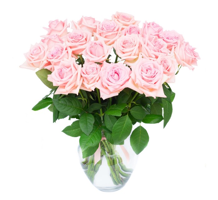 Bouquet of pink roses in a vase