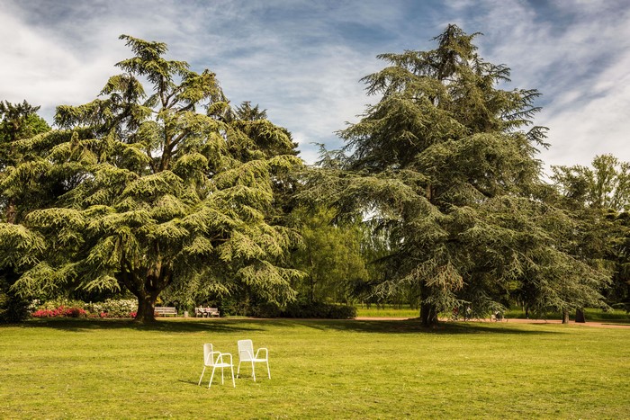Two white chairs on a lawn with large trees in Nordpark Dusseldorf