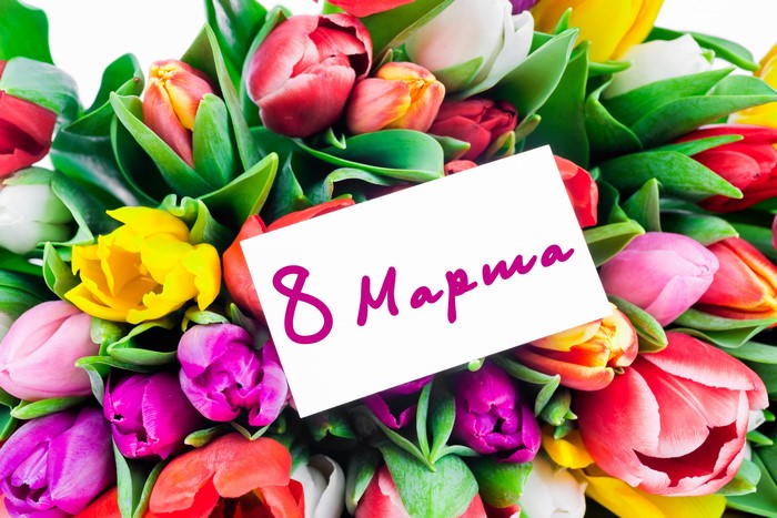 Bouquet of Tulips for March 8