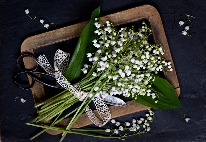 4K Lilies of the Valley Bouquet with Scissors
