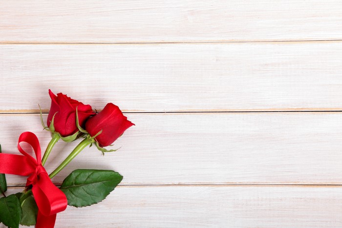 Two red roses with a red bow on wood planks