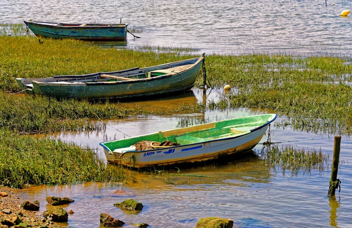 Boats on a grassy riverbank