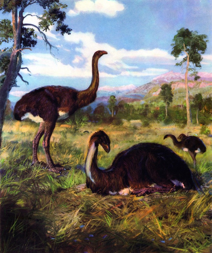 Dinornis ancient animals by Zdenek Burian