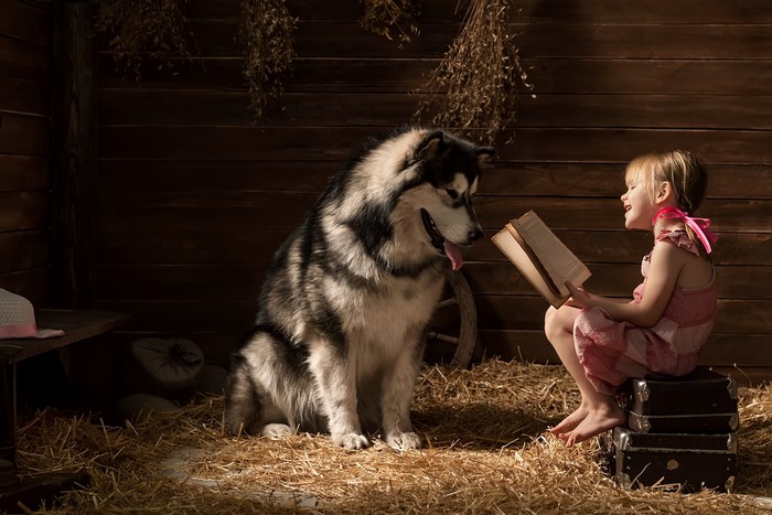 Girl reading a book to a dog in a barn