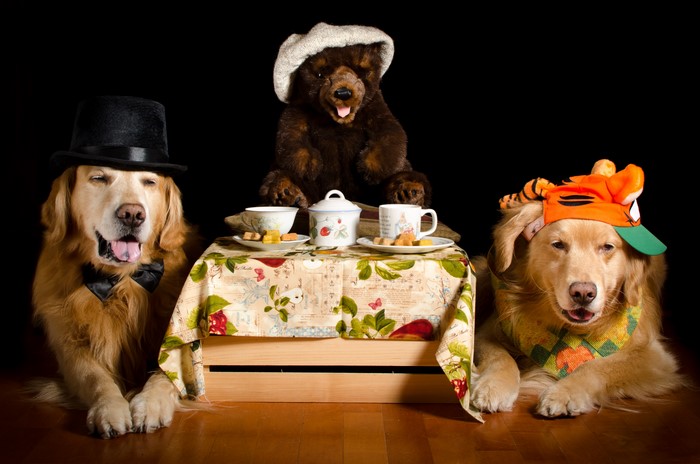 Dogs and Teddy Bear at a Tea Party