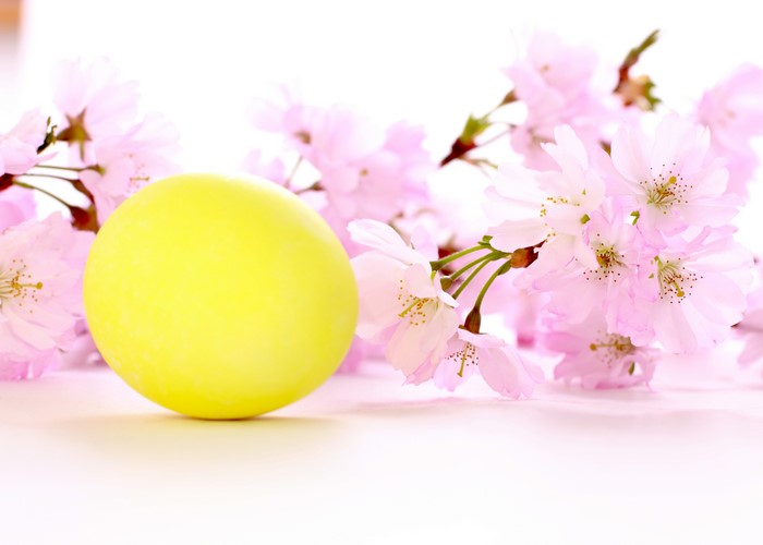 Yellow Easter Egg with Pink Cherry Blossoms