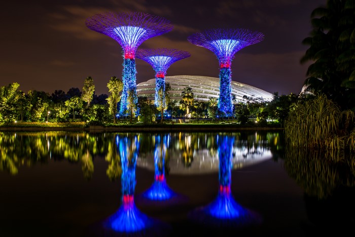 Gardens by the Bay Singapore at Night with Reflections