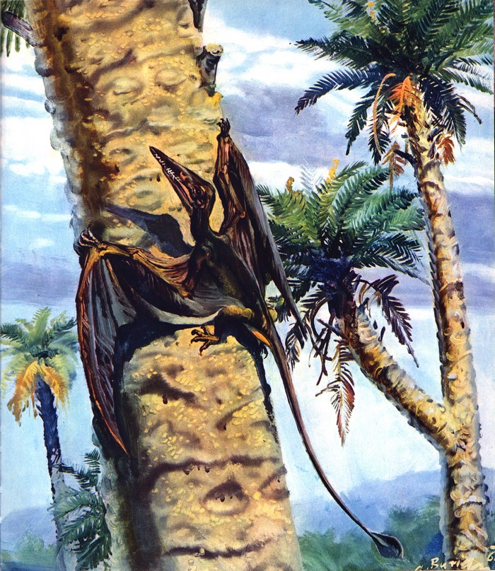 Rhamphorhynchid clinging to a tree, by Zdenek Burian