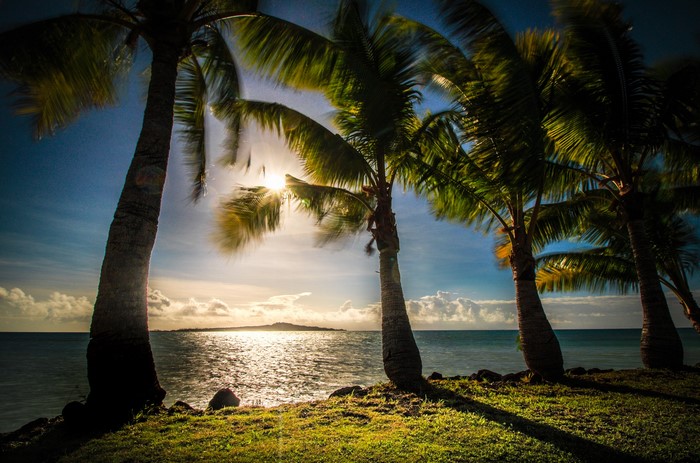 Palm trees on the coast of Samoa at sunset