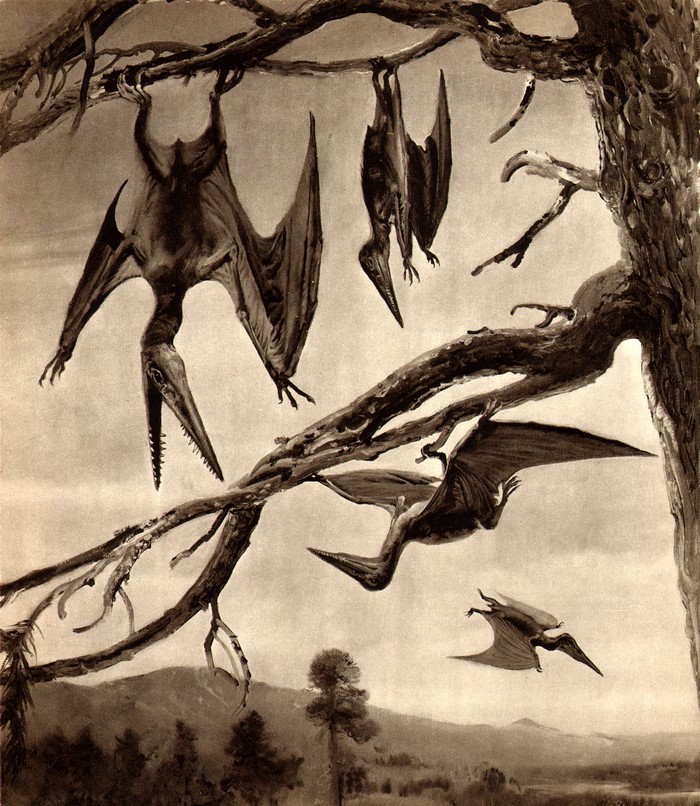 Pterodactyls hanging from tree branches