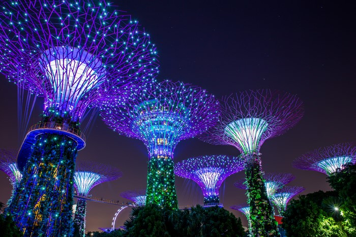 Gardens by the Bay Singapore at Night