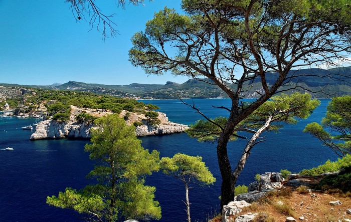 Calanque Port Miou, Provence, France