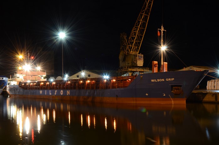 Ship named Wilson Grip docked at night