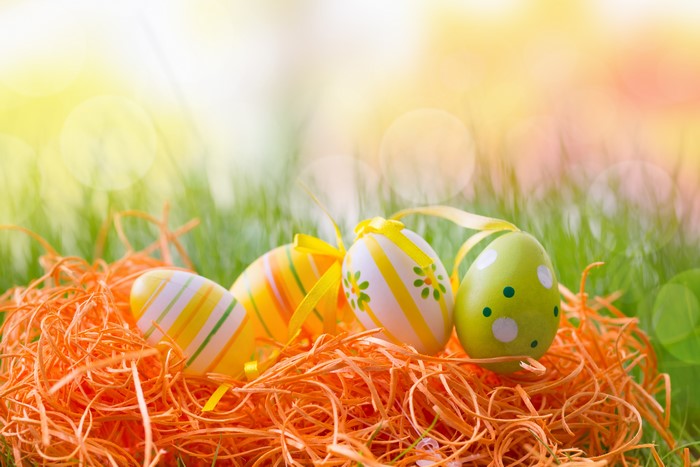 Easter Eggs in a Nest on Grass