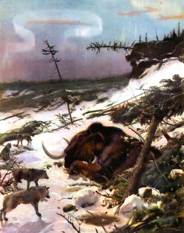 Mammoth and wolves in a snowy landscape by Zdenek Burian