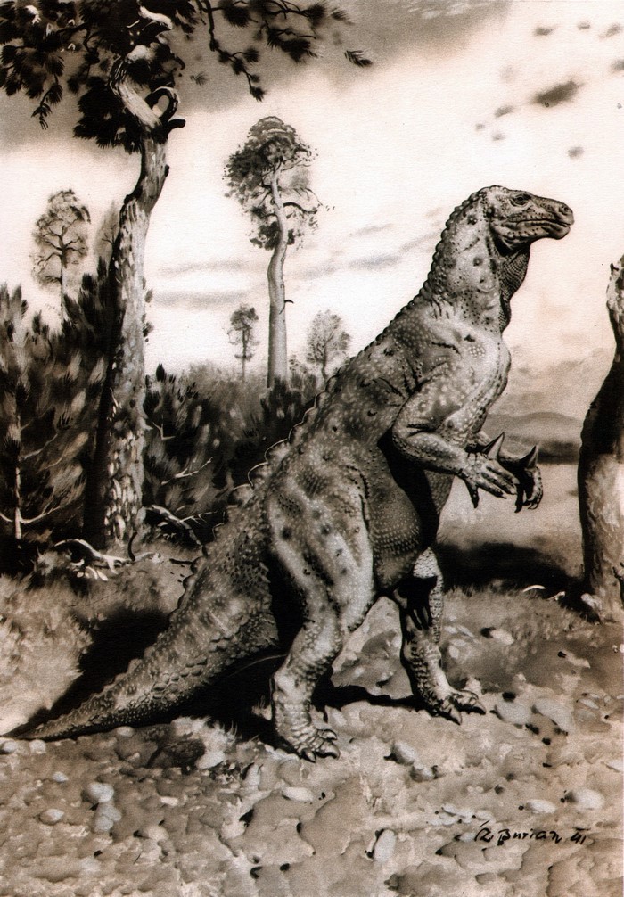 Iguanodon dinosaur illustration by Zdenek Burian