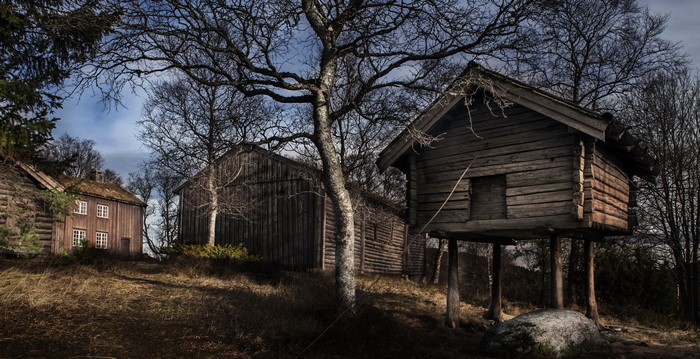 Wooden houses and trees in Namsos, Nord-Trondelag, Norway