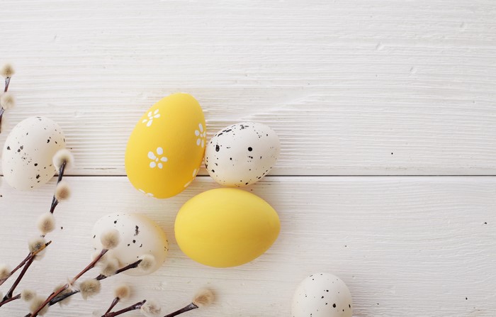 Easter Eggs and Pussy Willow Branches on Wood