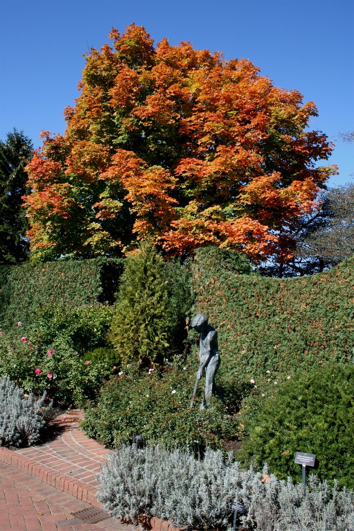 Sculpture of a gardener in a botanical garden with autumn trees