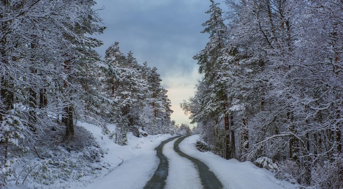 Snowy road through a winter forest in Rogaland, Norway