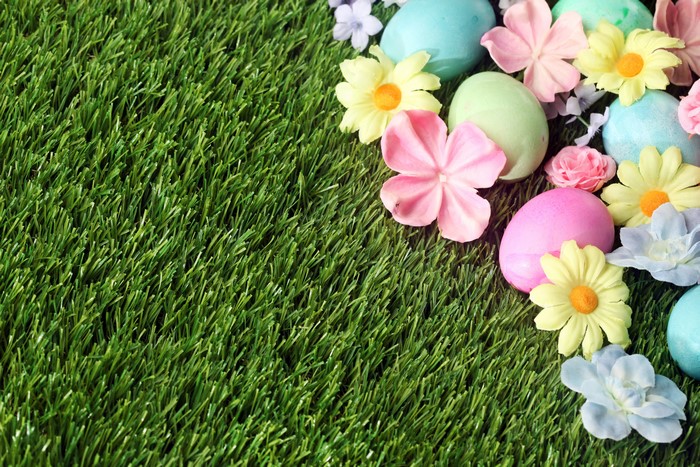 Easter eggs and flowers on grass