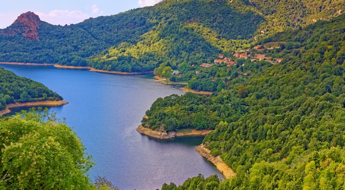 Mountains and Forest Surrounding a Bay in Corsica, France