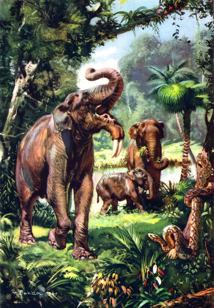 Deinotherium and young in prehistoric jungle by Zdenek Burian