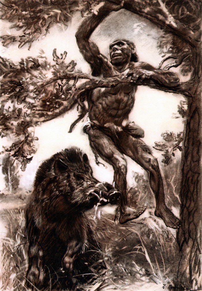 Prehistoric man attacked by wild boar in tree