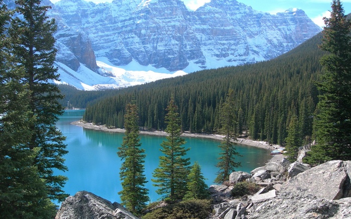 Turquoise lake and snow-capped mountains with pine forest