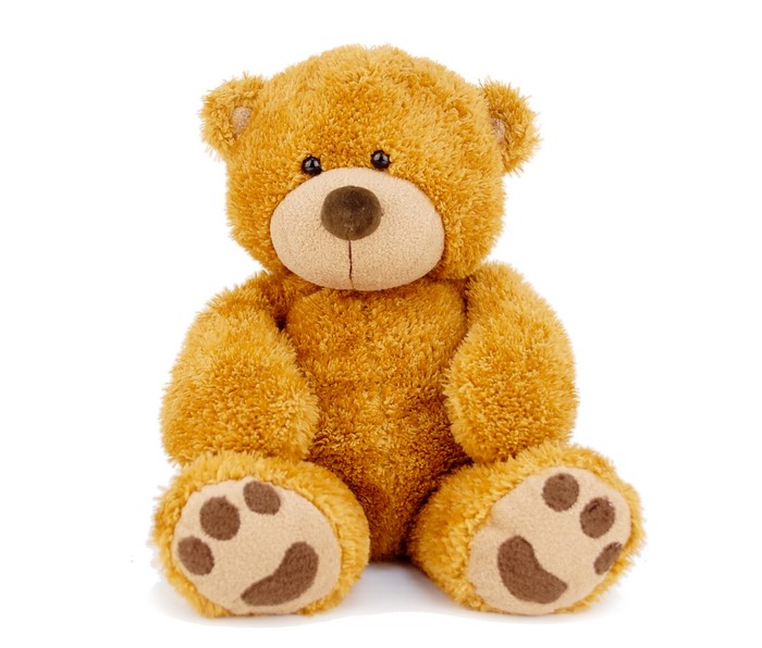 Teddy bear sitting on white background